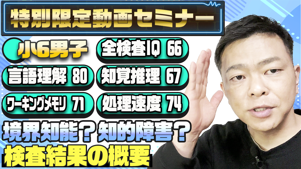 【検査結果の概要  】小6男子、全検査IQ66言語理解80知覚推理67ワーキングメモリ71処理速度74、境界知能？知的障害？のサムネール